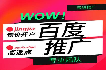 百度竞价包年案例：快速提升品牌知名度